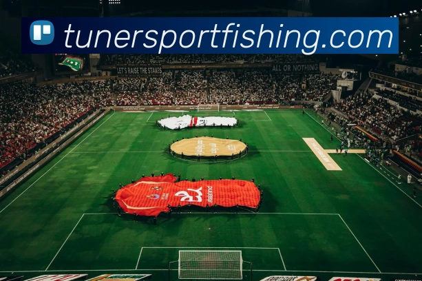 奖项证书